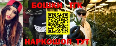 молекула духа Будённовск